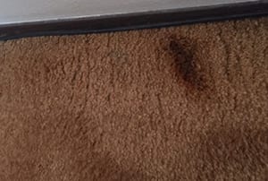 Carpet Cleaners Tacoma  Difficult to remove rust stain before power pup clean performed carpet cleaning in tacoma wa residence