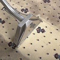 Forex carpet cleaner