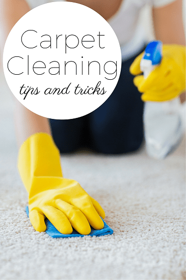 power pup clean the stain removal specialists in seattle offer tips and tricks for cleaning carpet