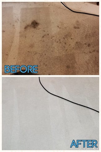 before-after-carpet-bellevue