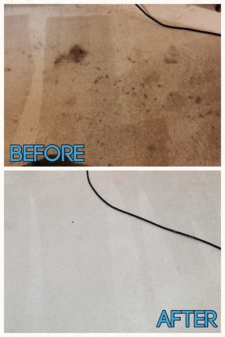 before and after carpet cleaning in auburn wa