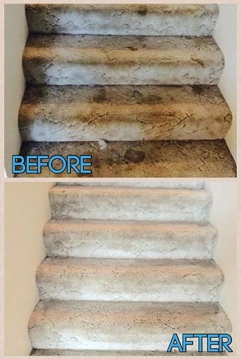 before and after residential carpet cleaning job in olympia washington