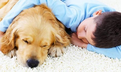 pet stain carpet cleaning specialists in washington state