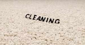 best carpet cleaning company in washington state