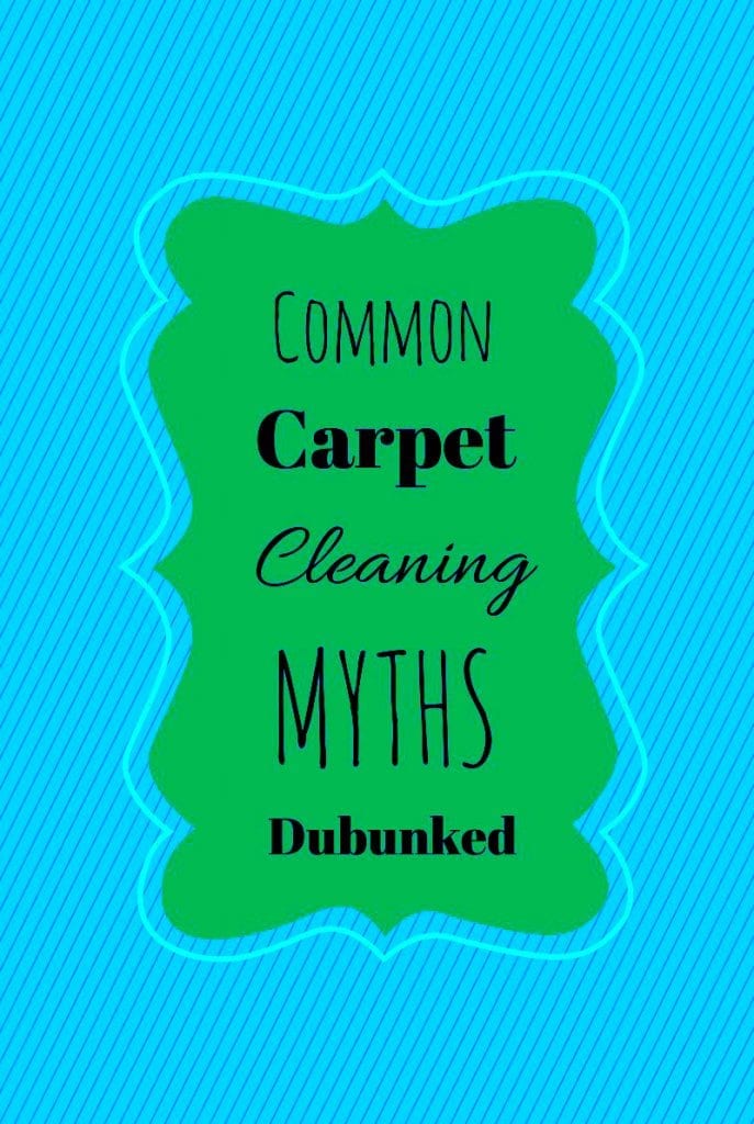 seattle area carpet cleaner power pup clean exposes some common carpet cleaning myths