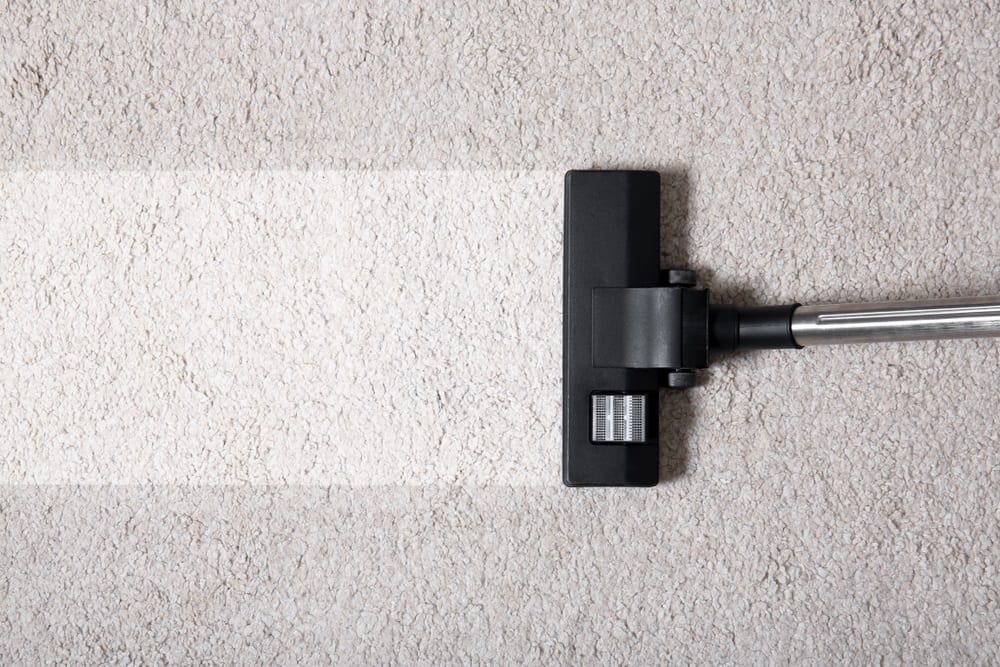Vacuum Cleaning tips from Carpet Cleaning Company in Seattle, Power Pup Clean