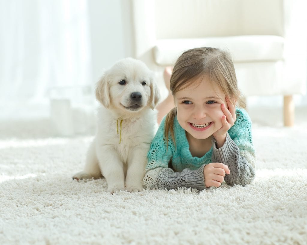 Carpet absorbs the sounds of pets and children providing for a more comfortable living environment