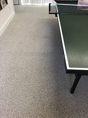 Green carpet cleaning experts Power Pup Clean restore carpets to look brand new with proprietary cleaning technology at Bellevue Washington residence