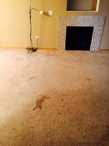 carpet cleaning before picture in puyallup residence
