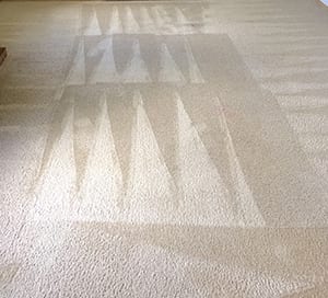 Our fast drying times, sanitization, and expert stain removal services are perfect for commercial cleaning. Lakewood area businesses depend on our carpet cleaners for jobs big and small.