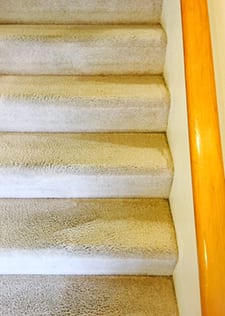 after picture of stairs in olympia home done by power pup carpet cleaners