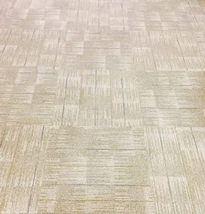 this pristine like new carpet displays the power of our proprietary green carpet cleaning technology