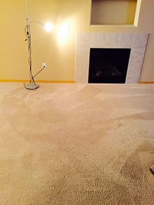 carpet cleaning after picture in puyallup washington showcasing power pup clean's amazing work