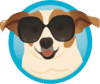 Power Pup Clean, Seattle's Carpet Cleaning Specialists
