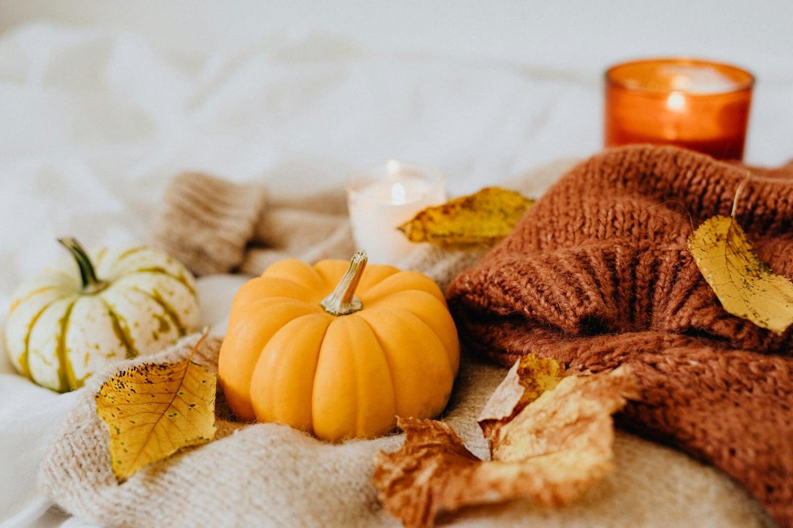 Warm autumn setting with pumpkins and knitted items, perfect for fall vibes.